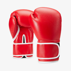 premium Boxing Gloves