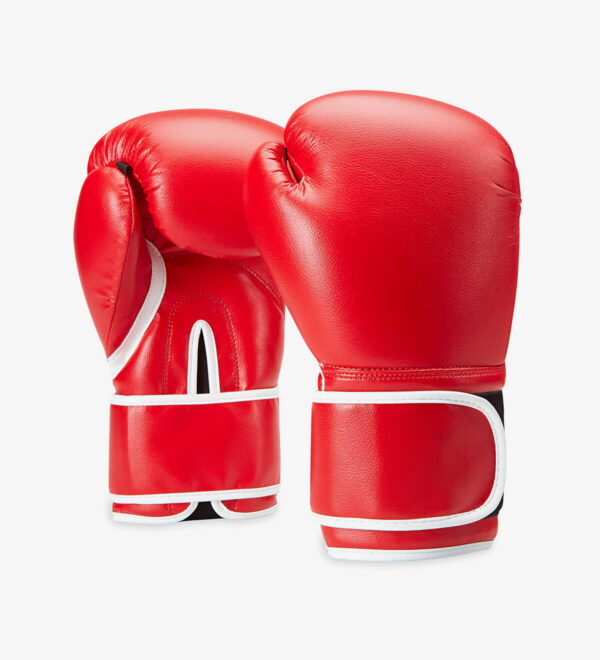 premium Boxing Gloves