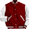 Baseball Embroidered Varsity Jacket