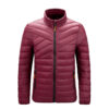 Men's Puffer Down Jacket